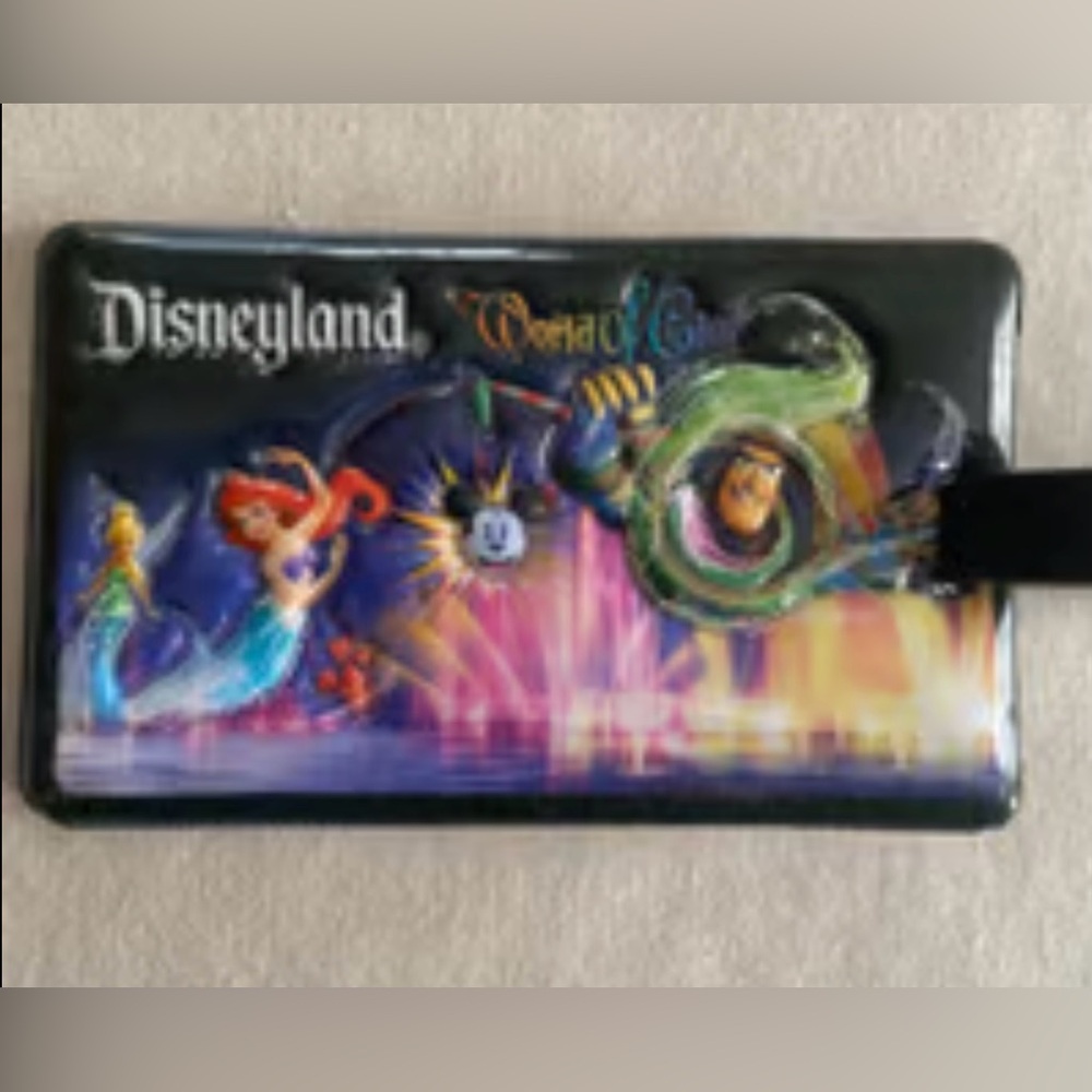 Disneyland World Of Color Luggage Tag
